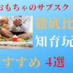 【2022年12月】おもちゃのサブスク【おすすめ4選】と絵本紹介（知育玩具）